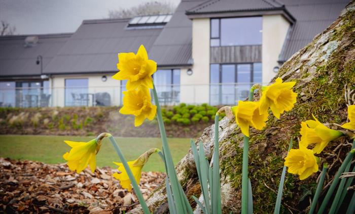 Llys-y-frân Lake & Visitor Centre